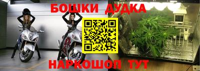 сатива Бузулук