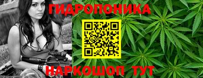 дурь Будённовск